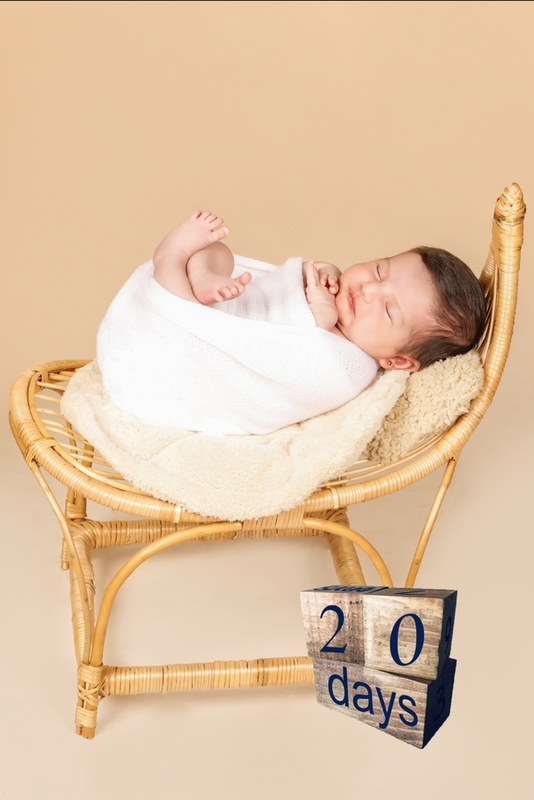 نمونه کار عکاسی رویا جمال زاده
