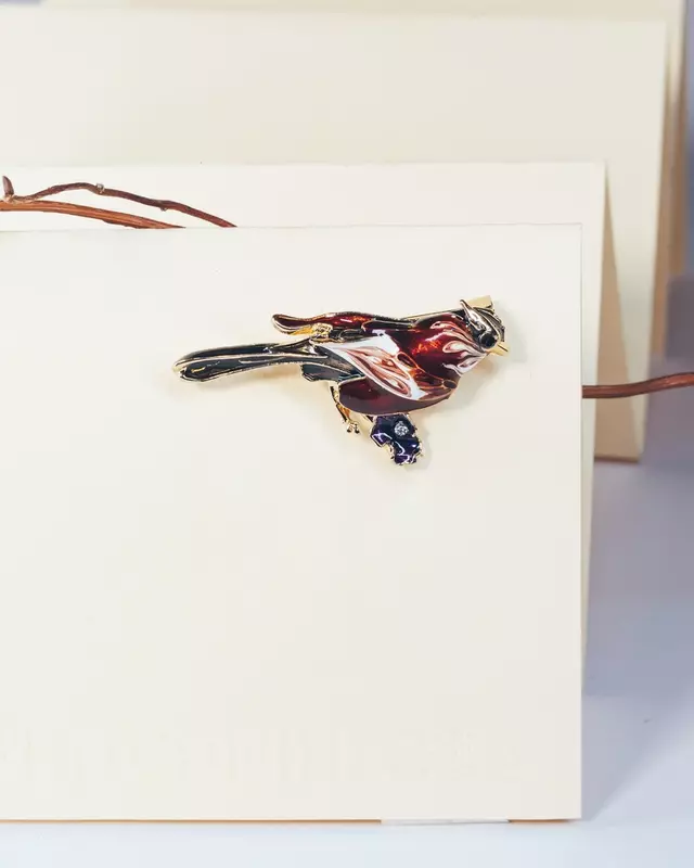 عکاسی تبلیغاتی چیدمان از ماه تی تی فخار