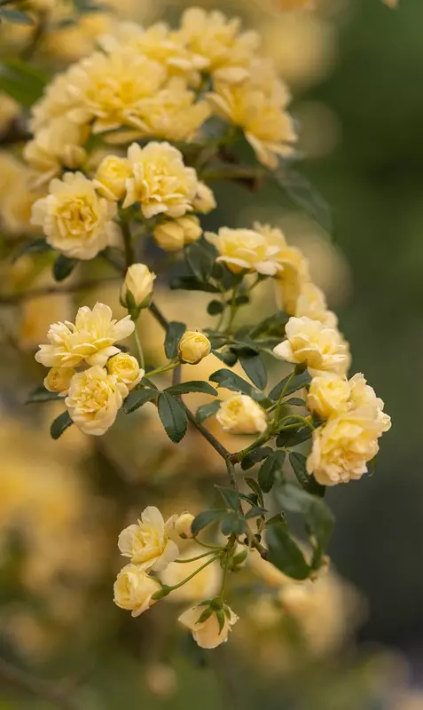 نمونه کار عکاسی حمید پورجمالی