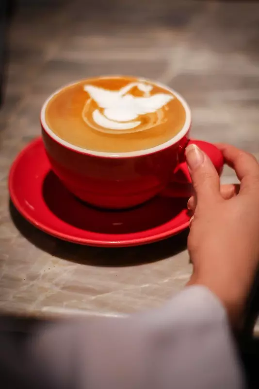 نمونه کار عکاسی مینا پورمحمدی