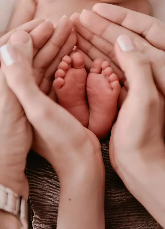 نمونه کار از بیتا, حکیم زاده