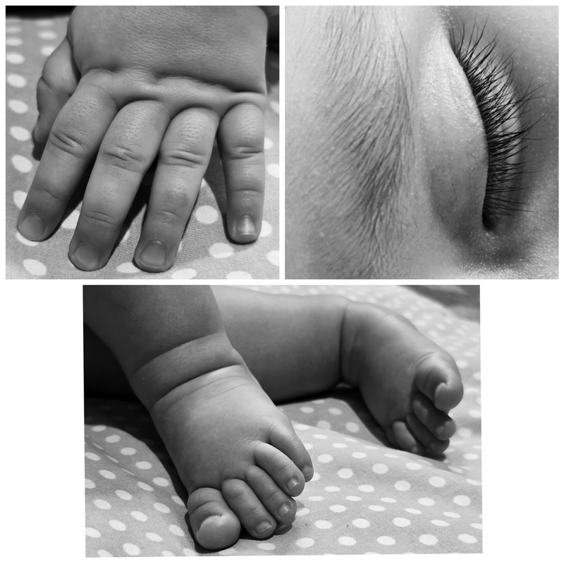 نمونه کار عکاسی شیوا غفورمحسنی