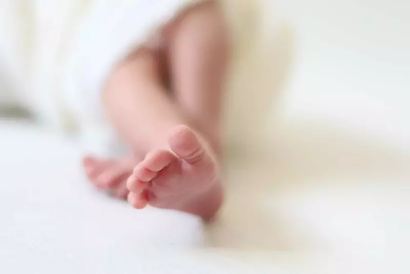 نمونه کار عکاسی زهرا سعادت فر