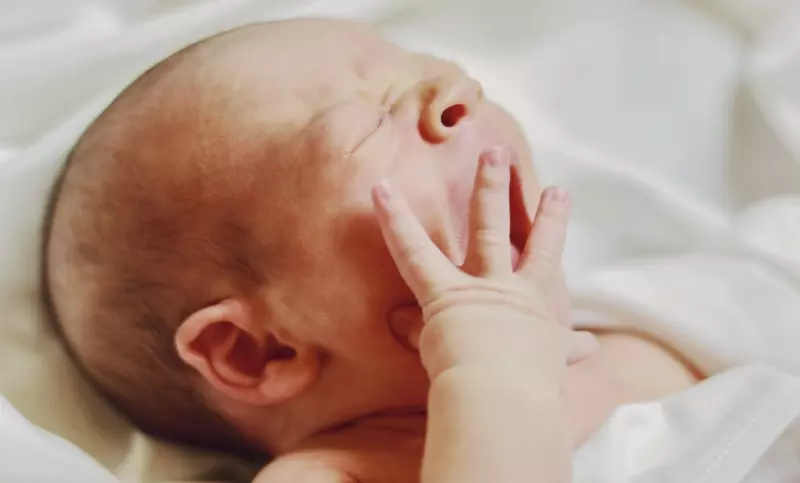 عکاسی نوزاد از هدیه قاسمی