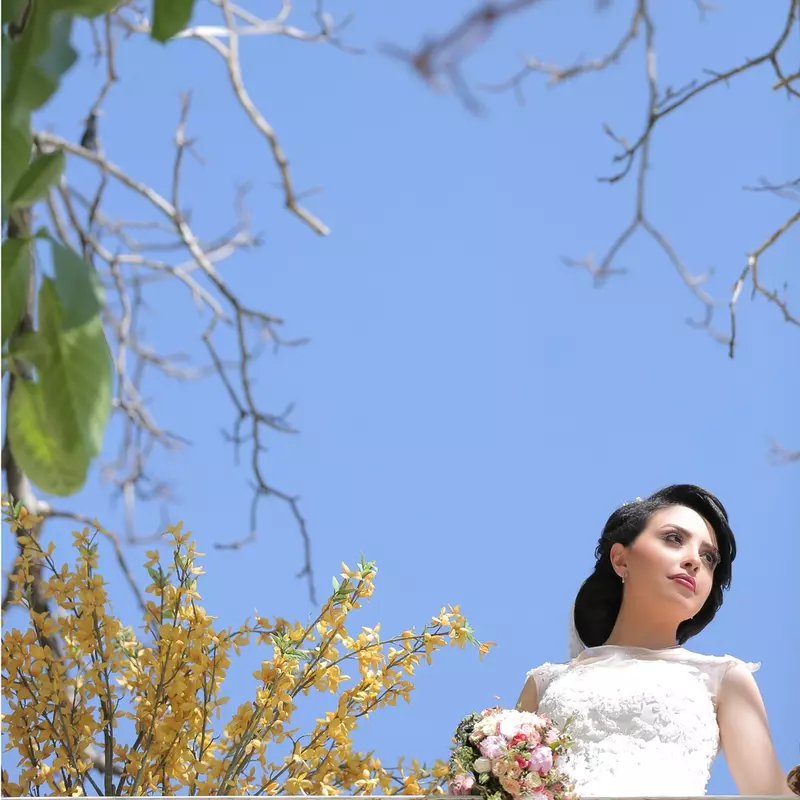 نمونه کار عکاسی امیر شهنواز