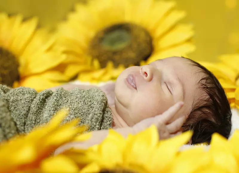 نمونه کار عکاسی امیر شهنواز