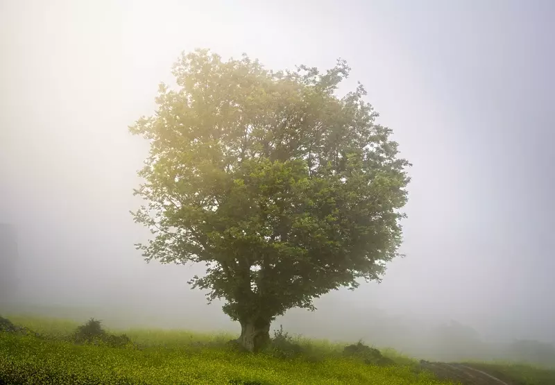 نمونه کار عکاسی مسعود مصطفایی