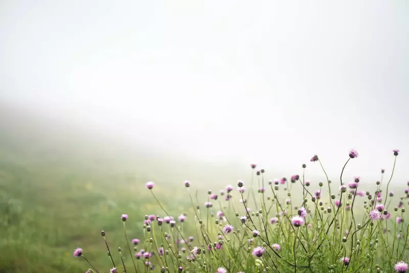 نمونه کار عکاسی مسعود مصطفایی