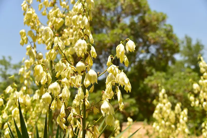 نمونه کار عکاسی بابک اسحاقیان