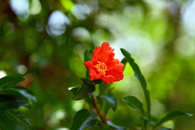 نمونه کار عکاسی بابک اسحاقیان