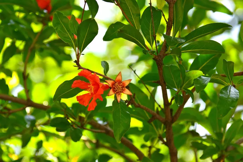 نمونه کار عکاسی بابک اسحاقیان