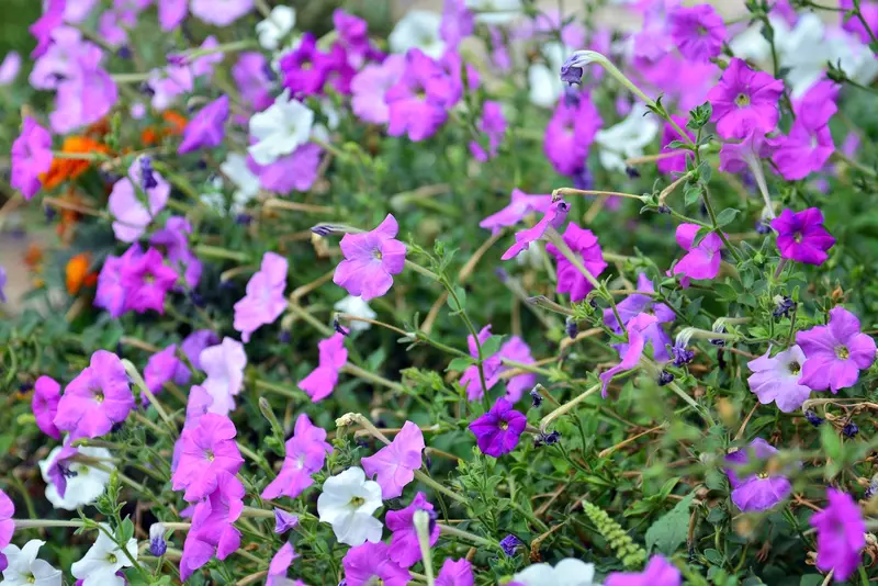 نمونه کار عکاسی بابک اسحاقیان