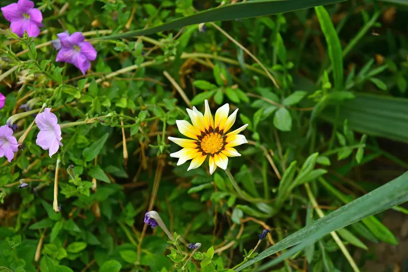 نمونه کار عکاسی بابک اسحاقیان