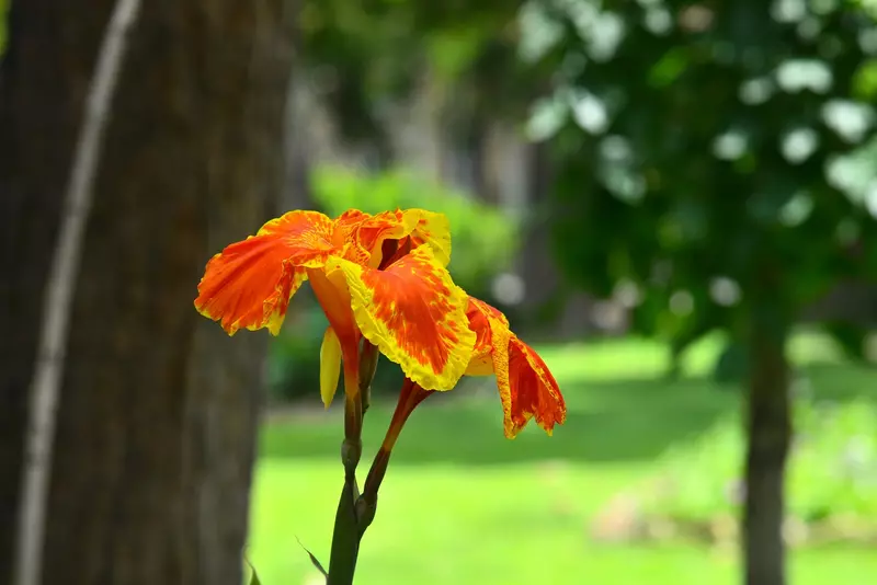 نمونه کار عکاسی بابک اسحاقیان