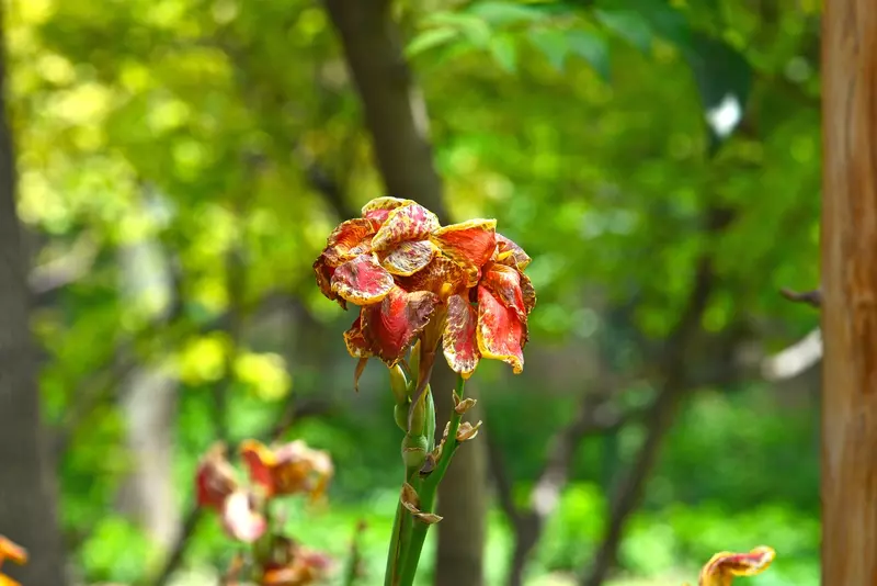 نمونه کار عکاسی بابک اسحاقیان