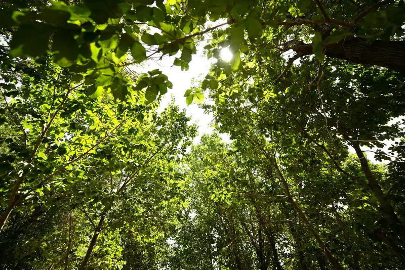 نمونه کار عکاسی بابک اسحاقیان