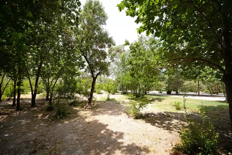 نمونه کار عکاسی بابک اسحاقیان
