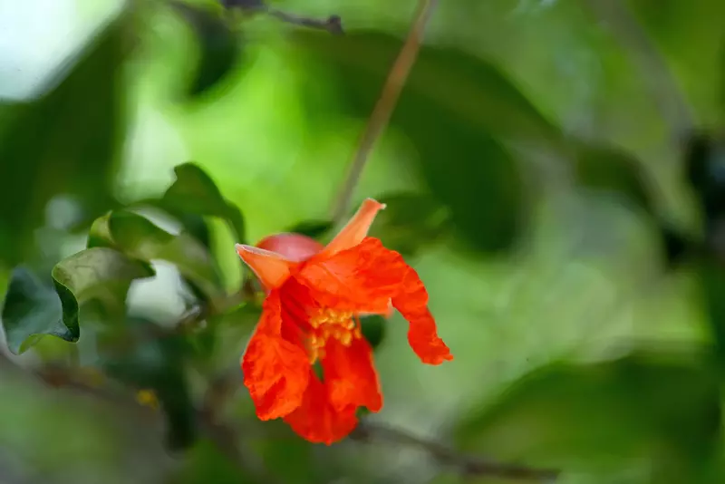 نمونه کار عکاسی بابک اسحاقیان