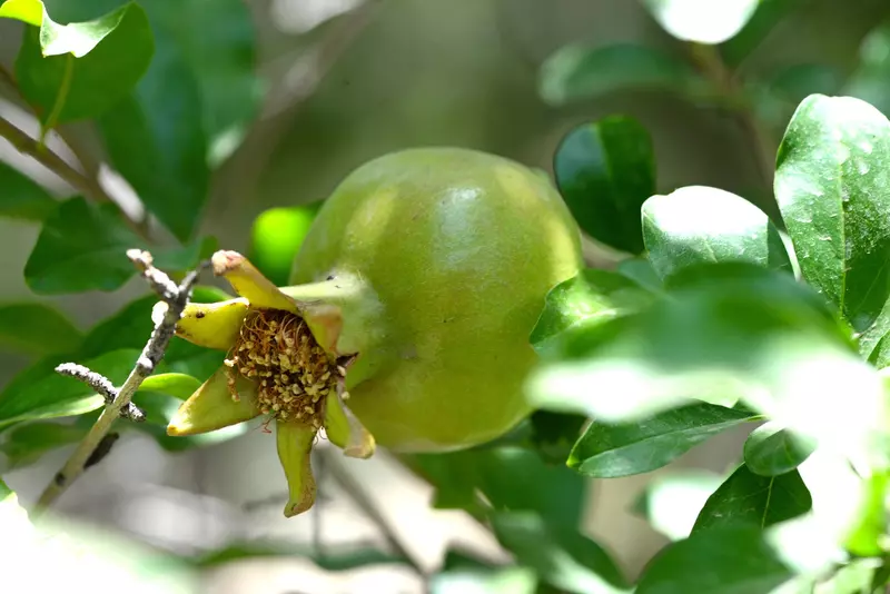 نمونه کار عکاسی بابک اسحاقیان