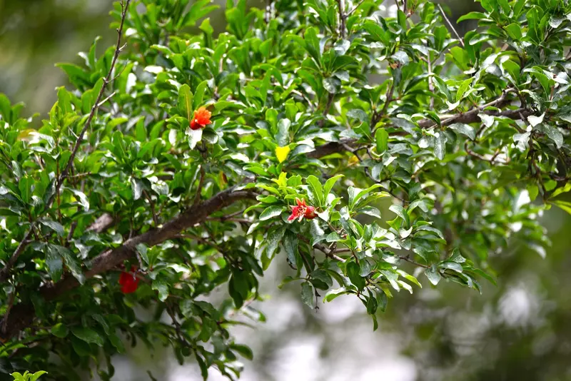 نمونه کار عکاسی بابک اسحاقیان