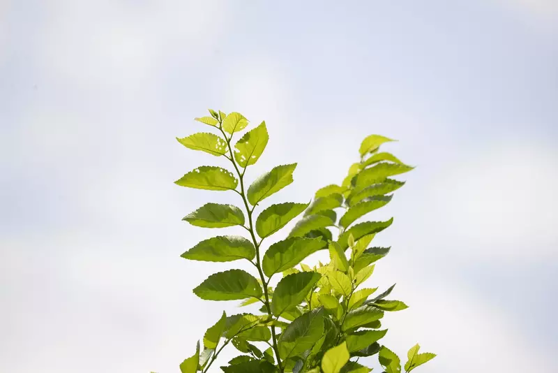 نمونه کار عکاسی بابک اسحاقیان