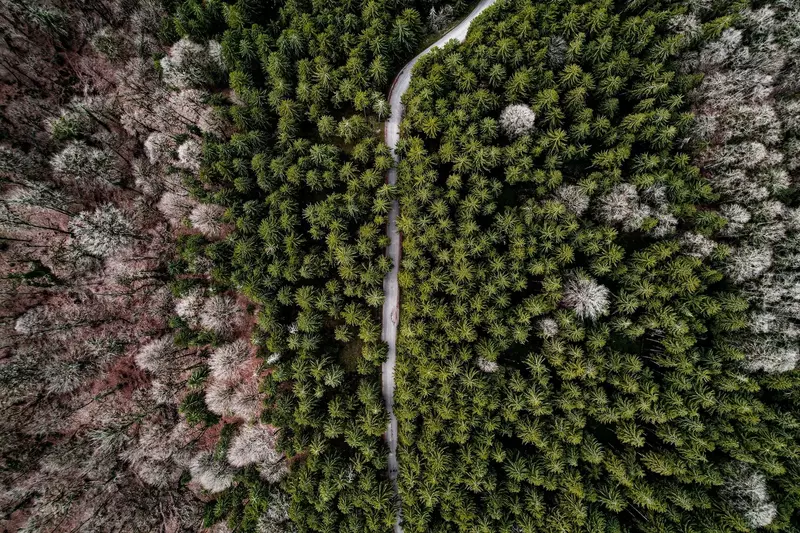 نمونه کار عکاسی احمد معتمدی فهیم