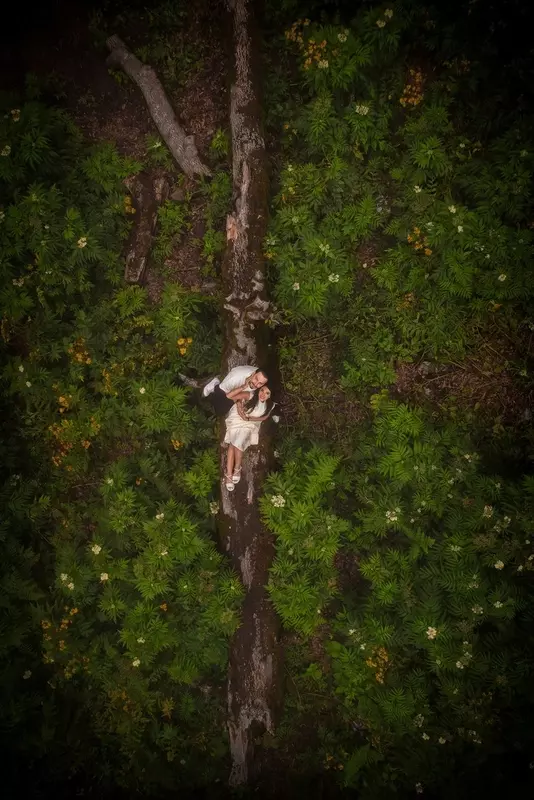 نمونه کار عکاسی عقد، عروسی و فرمالیته توسط معتمدی فهیم که در تاریخ 1404-03-13 ** سه‌شنبه  **  ساعت 02:13PM بارگذاری شده است.