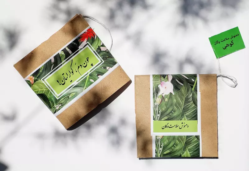 نمونه کار عکاسی ریحانه بخشایی