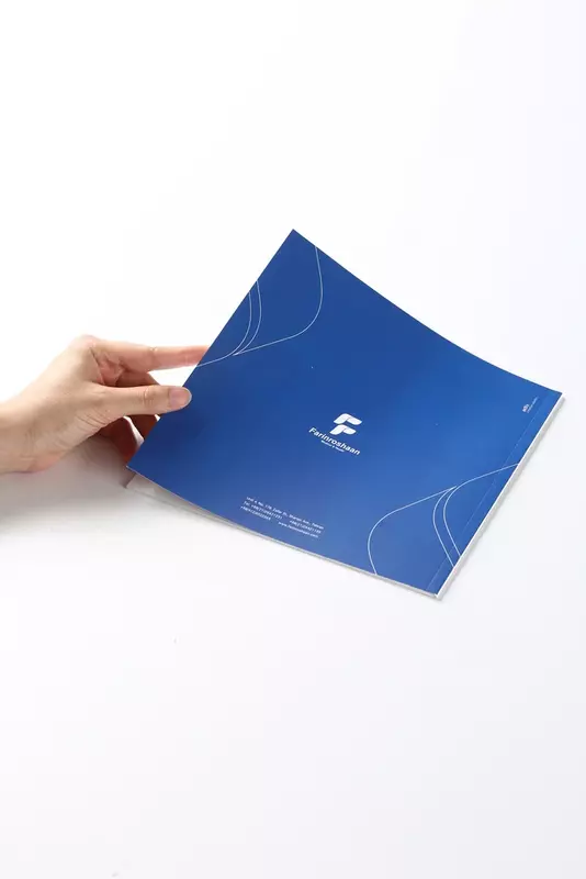 نمونه کار از مهران, بختیاری