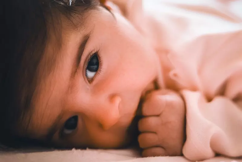 نمونه کار عکاسی زهرا سعادت فر