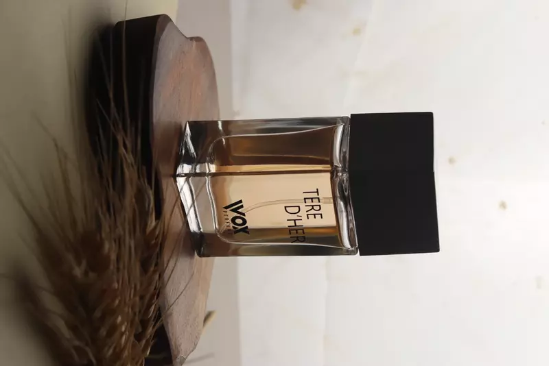 نمونه کار عکاسی تبلیغاتی چیدمان توسط نیکدم که در تاریخ 1404-04-23 ** دوشنبه  **  ساعت 06:01PM بارگذاری شده است.