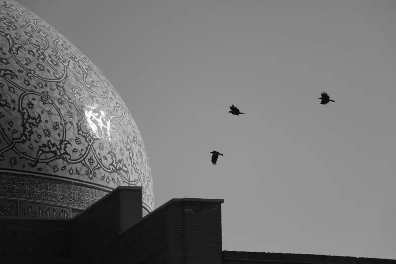 عکاسی مناظر از حمیدرضا پورکاظمی