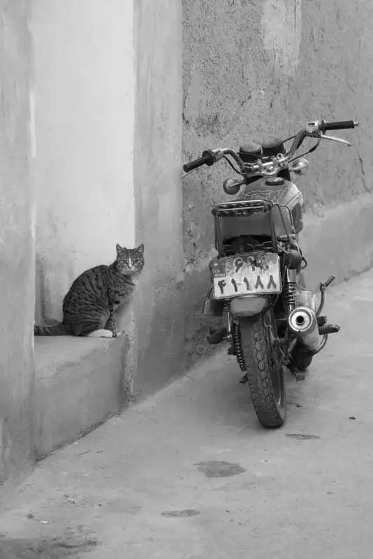 عکاسی مناظر از حمیدرضا پورکاظمی