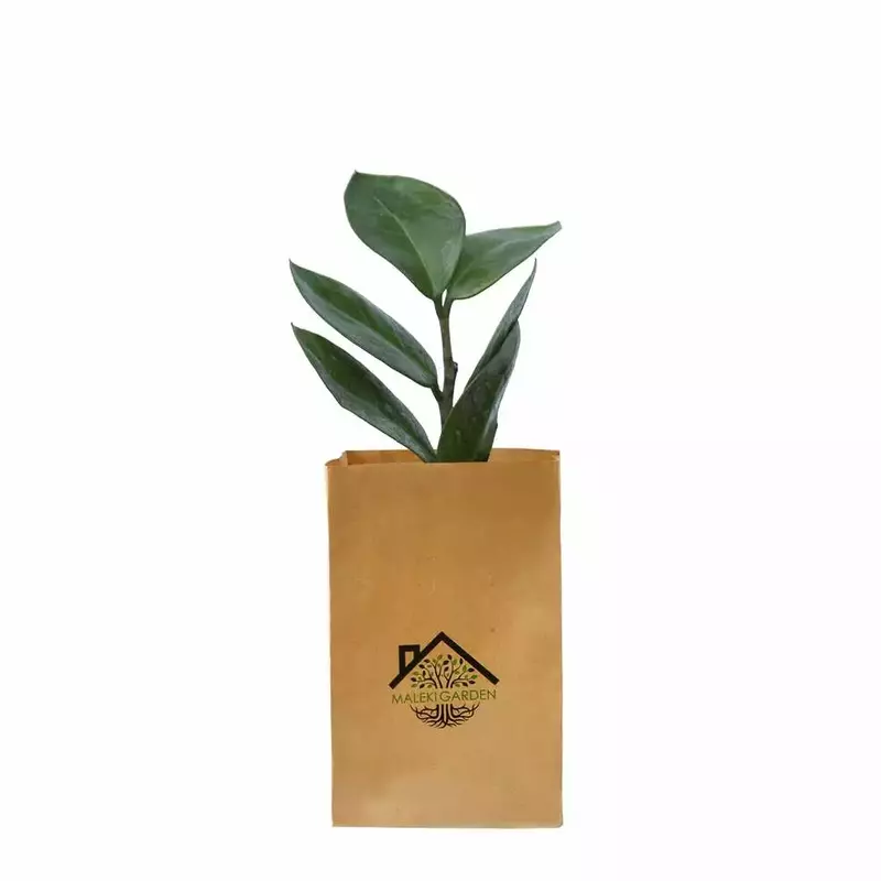 نمونه کار عکاسی صنعتی و زمینه سفید توسط حمیدیا که در تاریخ 1404-05-04 ** شنبه  **  ساعت 09:51PM بارگذاری شده است.