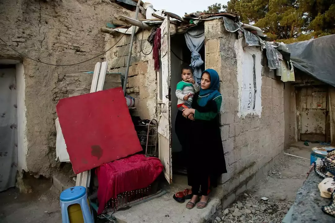 نمونه کار عکاسی فائزه حمیدیا
