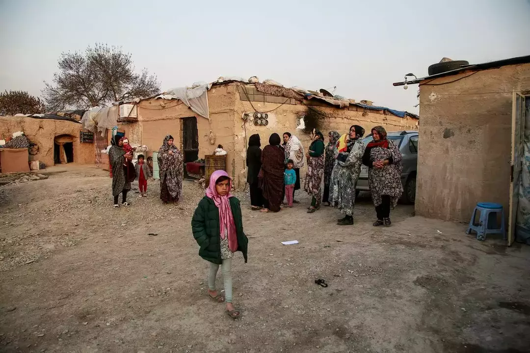 نمونه کار عکاسی فائزه حمیدیا