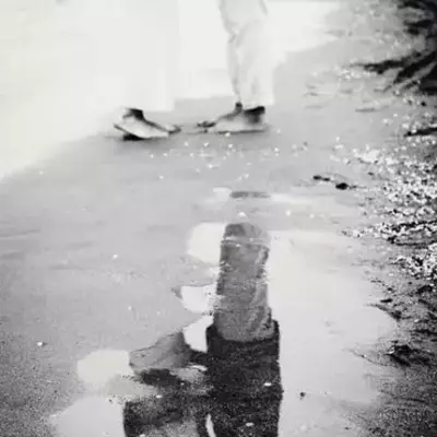 نمونه کار