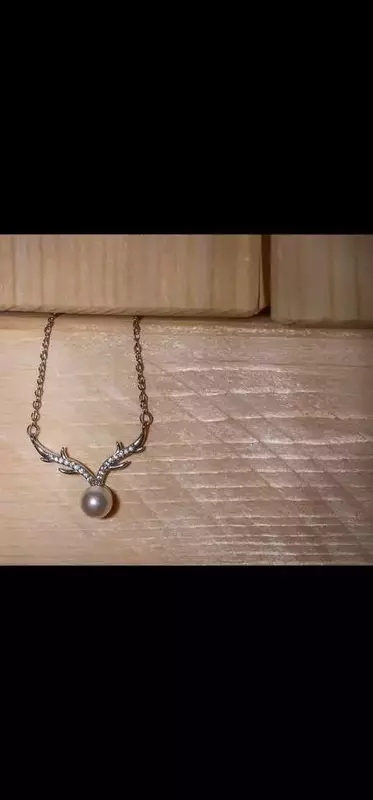 نمونه کار عکاسی رویا جمال زاده