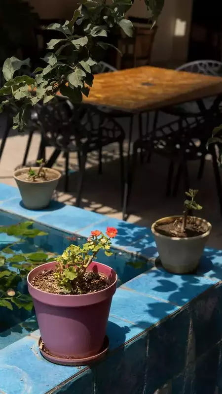 نمونه کار عکاسی مناظر توسط مؤیدی که در تاریخ 1404-05-23 ** پنج‌شنبه  **  ساعت 03:48PM بارگذاری شده است.