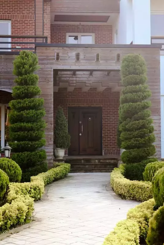 نمونه کار عکاسی سمانه جاوید