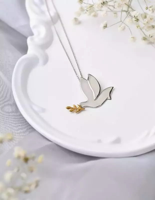 نمونه کار عکاسی مريم اسلامى