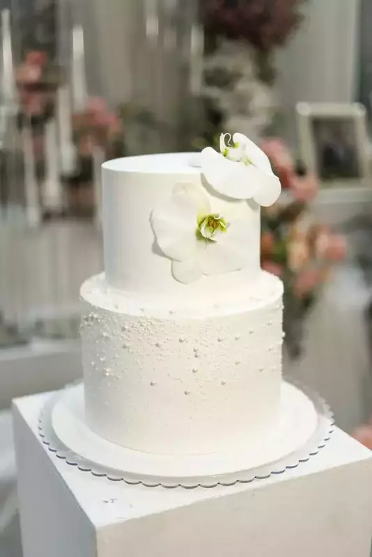 نمونه کار عکاسی شایسته زرین