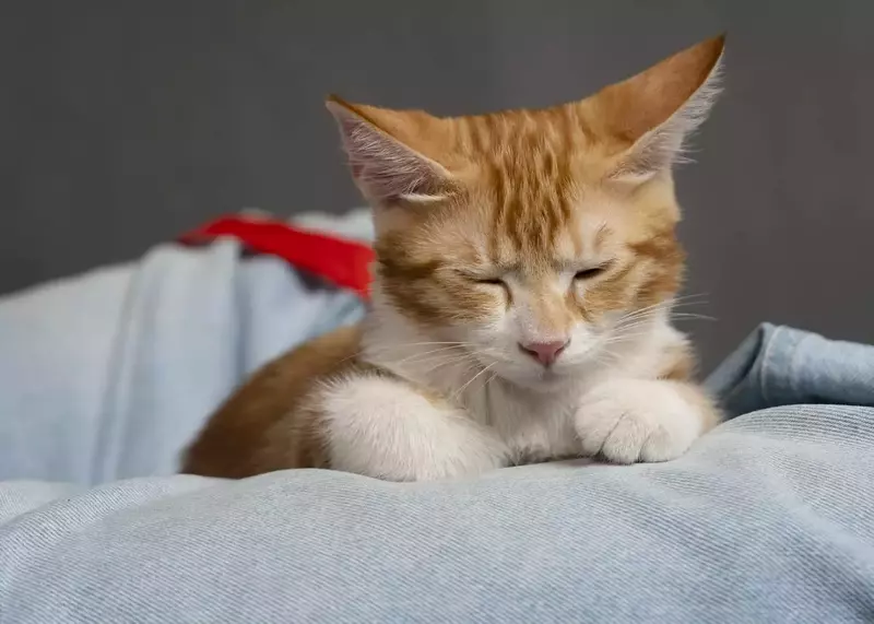 نمونه کار عکاسی هستی نوایی نژاد