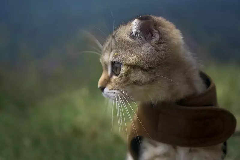 نمونه کار عکاسی هستی نوایی نژاد