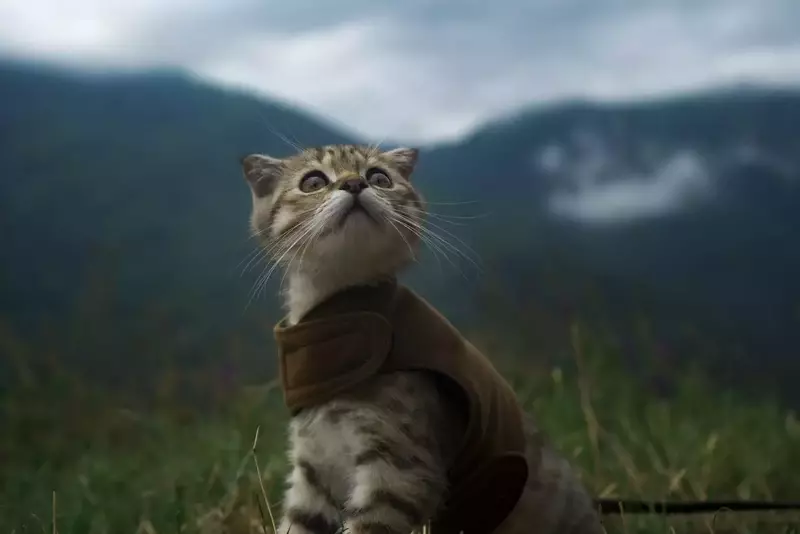 نمونه کار عکاسی هستی نوایی نژاد