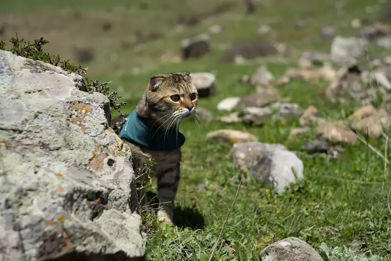 نمونه کار عکاسی هستی نوایی نژاد