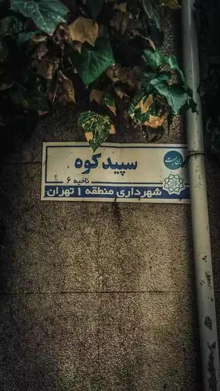 نمونه کار عکاسی شارمین سلیمان پور