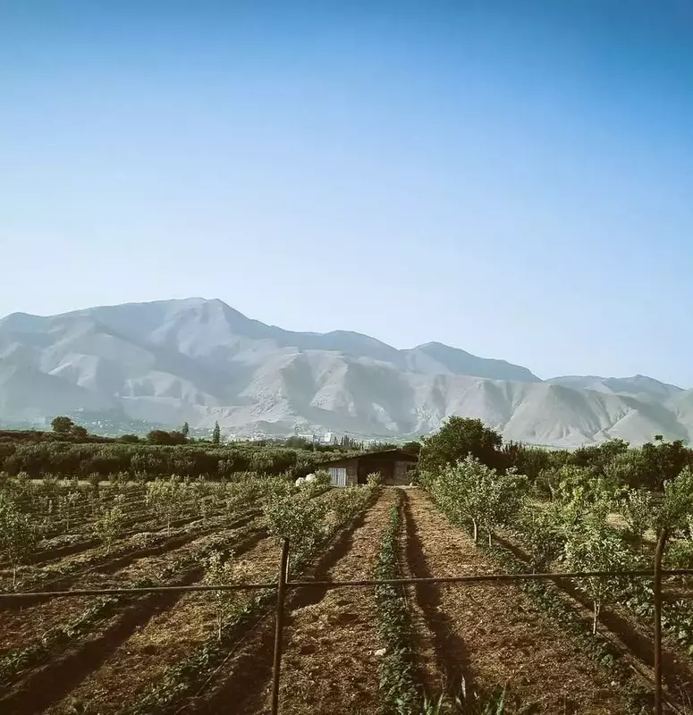 نمونه کار عکاسی شارمین سلیمان پور