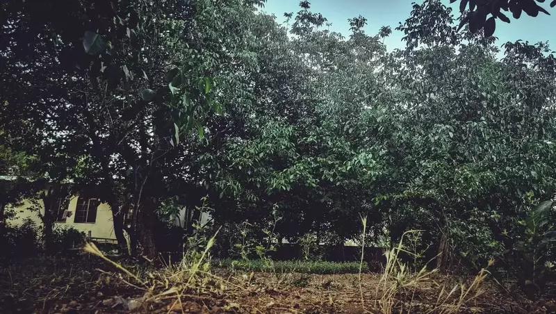 نمونه کار عکاسی شارمین سلیمان پور