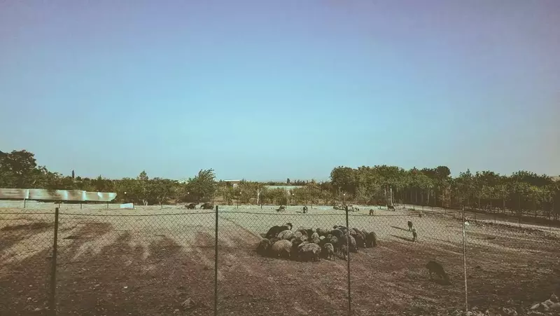 نمونه کار عکاسی مناظر توسط سلیمان پور که در تاریخ 1404-06-25 ** سه‌شنبه  **  ساعت 05:17PM بارگذاری شده است.